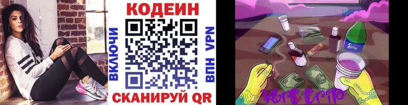 Купить закладки  Славгород  Кодеин Purple Drank 