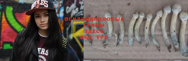 ALPHA-PVP Покров