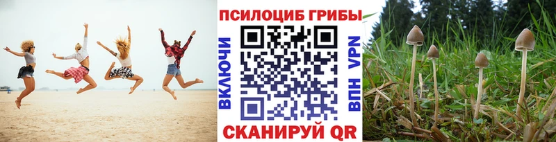 Купить где  Славгород  Псилоцибиновые грибы мухоморы 